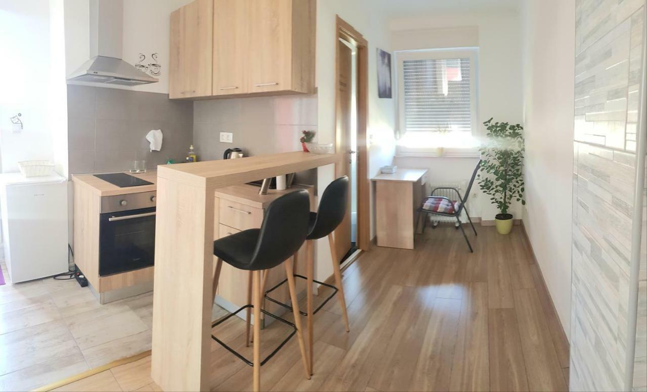 Penthouse Spudic Karlovac Apartment Bagian luar foto